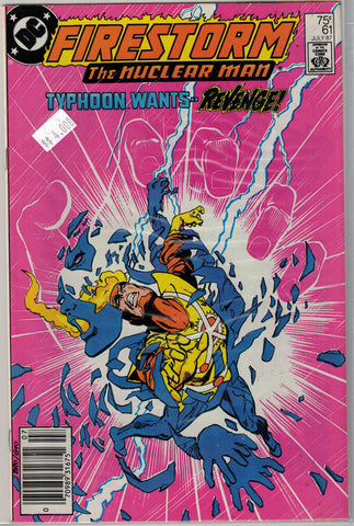 Fury of Firestorm Issue # 61 DC Comics $4.00