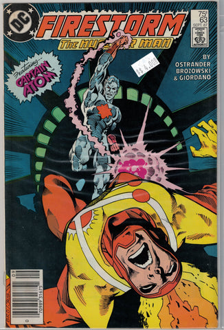 Fury of Firestorm Issue # 63 DC Comics $4.00