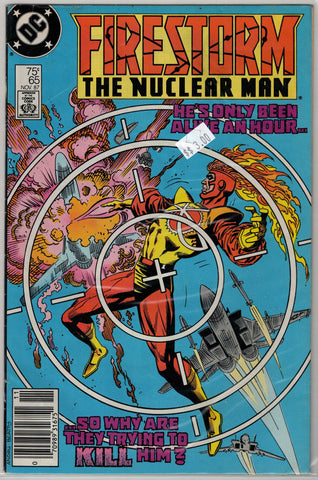 Firestorm, The Nuclear Man Issue # 65 DC Comics $3.00
