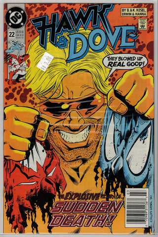 Hawk and Dove Issue # 22 DC Comics $3.00