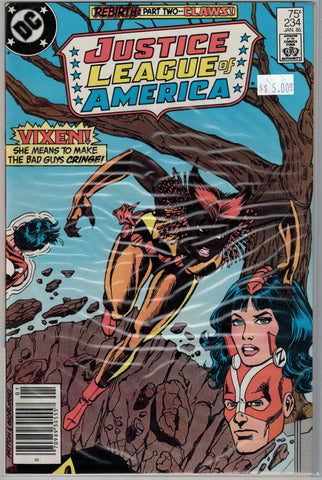 Justice League of America Issue # 234 DC Comics $5.00