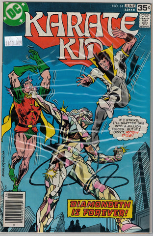 Karate Kid Issue # 14 DC Comics $10.00