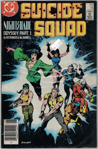 Suicide Squad Issue # 14 DC Comics $4.00